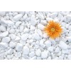 Oblutak beli - Tasos 0-1 cm 25kg